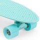 Penny Skateboard Cruiser Staple Mint 27'' - Complete 2020 - Cruiserboards im Plastik Complete