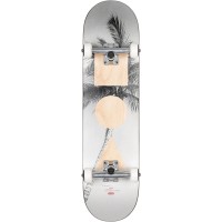 Skateboard Globe G1 Stack 8.0'' - Lone Palm- Complete 2023 - Skateboards Complètes