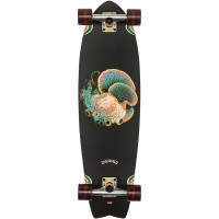 Skateboard Globe Chromantic 33'' - Bio-Morph - Complete 2023 - Skateboards Complètes