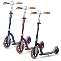 Scooter Frenzy Dual Brake 2023