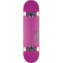 Skateboard Globe Good Stock 8.25'' - Neon Purple - Complete 2023