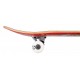 Skateboard Birdhouse Stage 1 Chicken Mini 7.38'' - Complete 2022 - Skateboards Completes