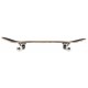 Skateboard Birdhouse Stage 1 Falcon III 7.75'' - Complete 2022 - Skateboards Completes