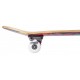 Skateboard Completes Rocket Skateboard Blocks Mini Multi 7.5\\" 2023 - Skateboards Completes