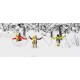 Ski Dynastar M-Free 99 2022 - Ski sans fixations Homme