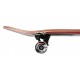 Skateboard Birdhouse Stage 3 Falcon 2 Red 8'' - Complete 2022 - Skateboards Complètes