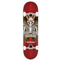 Skateboard Birdhouse Stage 1 TH Icon Red 8'' - Complete 2022 - Skateboards Completes