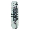 Skateboard Complètes Enuff Evergreen Tree 8.00" 2023