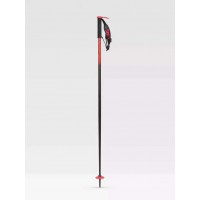 Ski Pole Line Pin 2023 - Ski Poles
