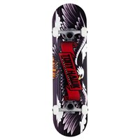 Skateboard Complètes Tony Hawk Wingspan 8\\" SS 180 2023 - Skateboards Complètes