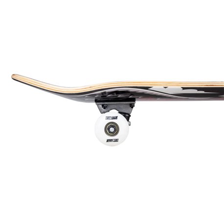 Skateboard Completes Tony Hawk Wingspan 8\\" SS 180 2023 - Skateboards Completes