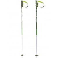Bâtons de Ski Volkl Phantastick 2 Poles Green 2018 - Bâtons de ski