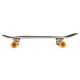 D Street Cruiser Tropical 29.5\\" - Complete 2019 - Cruiserboards in Wood Complete