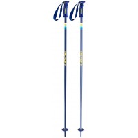 Bâtons de Ski Faction Candide Blue 2020 - Bâtons de ski