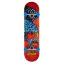 Skateboard Complètes Tony Hawk Diving Hawk 7.75" SS 180 2023