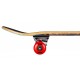 Skateboard Completes Tony Hawk Golden Hawk 7.75\\" SS 180 2023 - Skateboards Completes