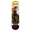 Skateboard Complètes Tony Hawk Hawk Roar 7.75" SS 180 2023