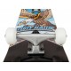 Skateboard Completes Tony Hawk Outrun 7.75\\" SS 180 2023 - Skateboards Completes