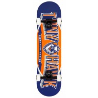 Tony Hawk Skateboard 8\\" SS 540 Team Complete 2020 - Skateboards Complètes
