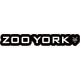 Skateboard Zoo York Logo Sticker 2020 - Stickers