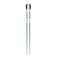 Bâtons de Ski Faction Candide Blue 2021 - Bâtons de ski